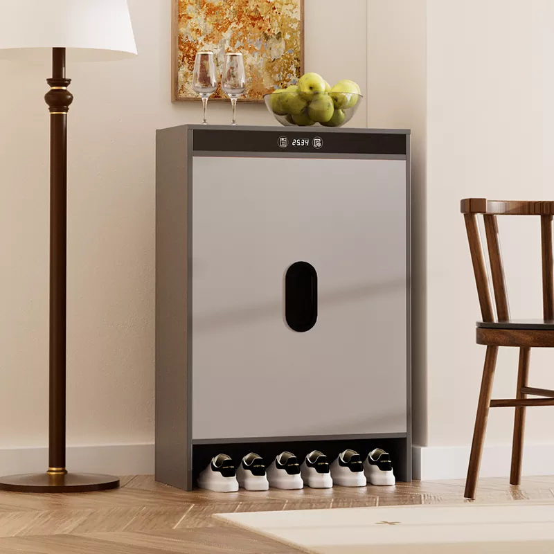 Gabinete de zapatería de secado de sincronización de calefacción eléctrica de grafeno